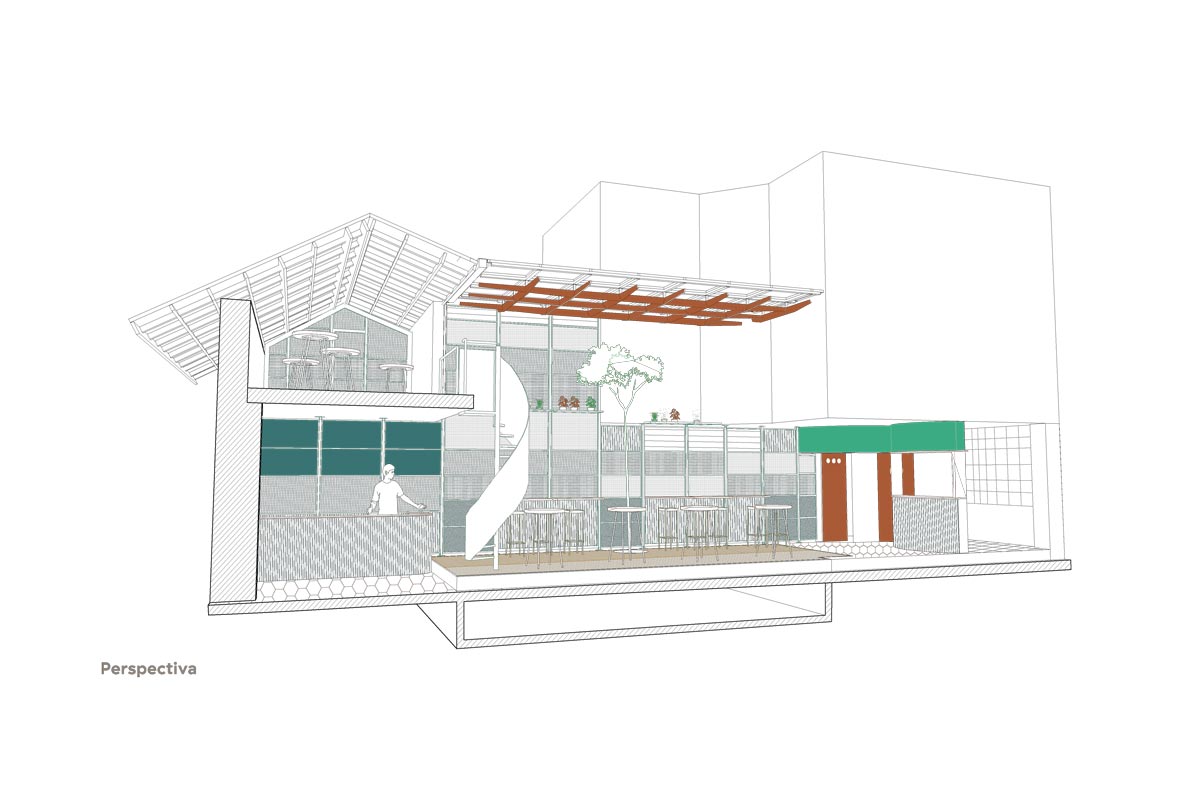 Planta-conolove-edit
